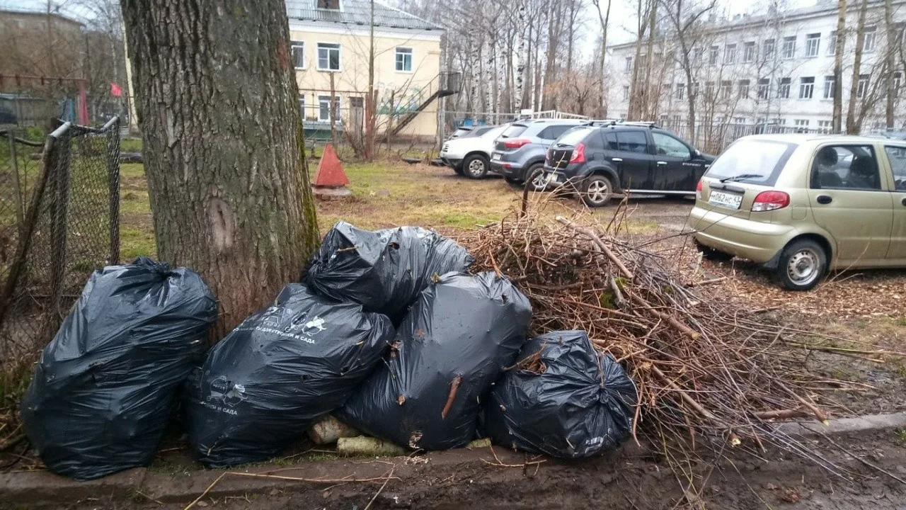 Вывоз мусора после субботника в Кемерово от ПроМусор – уборка и утилизация отходов от 2445 руб