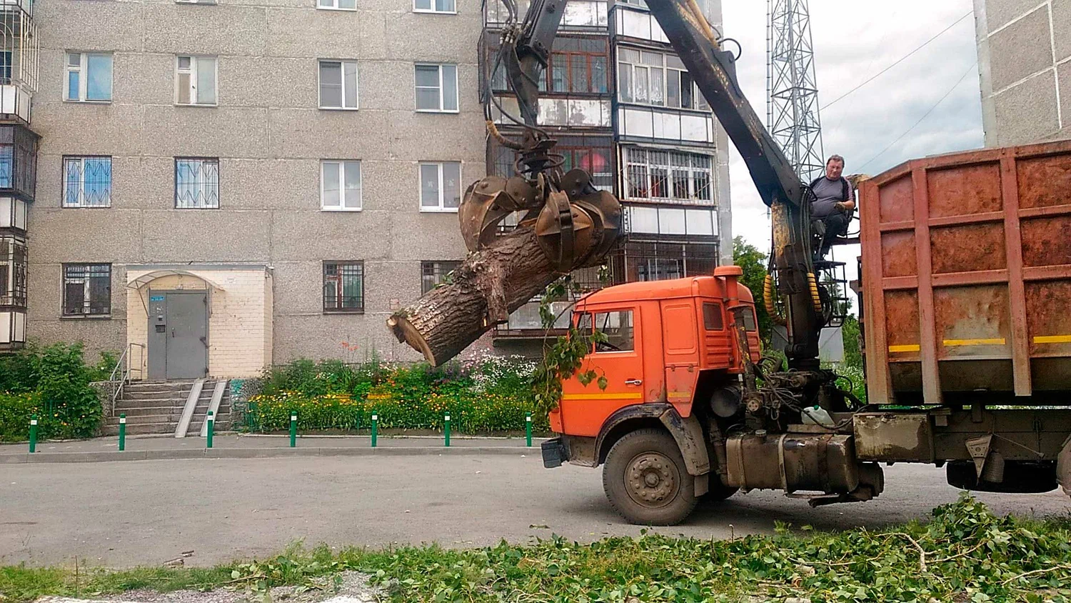 Вывоз спиленных веток и деревьев в Кемерово от ПроМусор: порубочные остатки, утилизация, цена от 3018 руб
